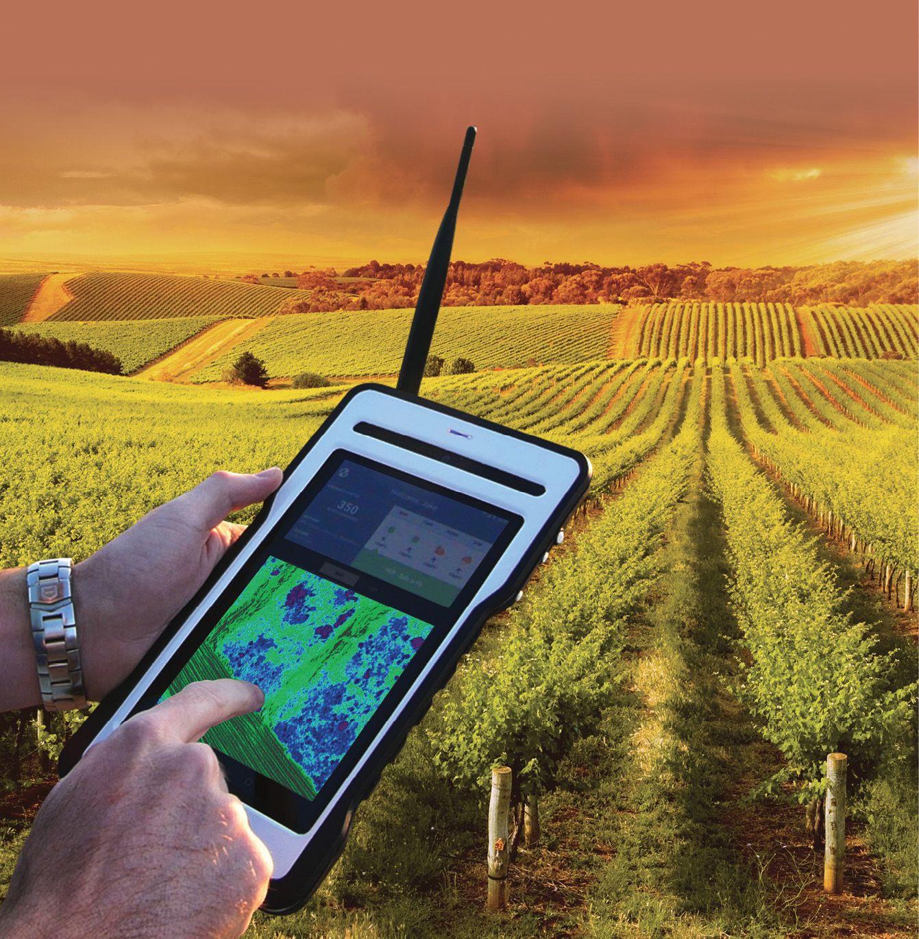 Digital Transformation in Agriculture: How Technology is Changing the Future of Farming
