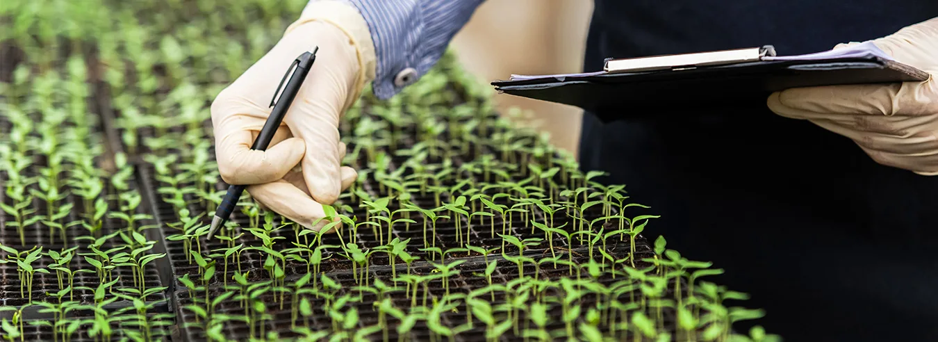 البحث الحديث في الري: تقنيات وأساليب فعّالة لتحسين إدارة المياه