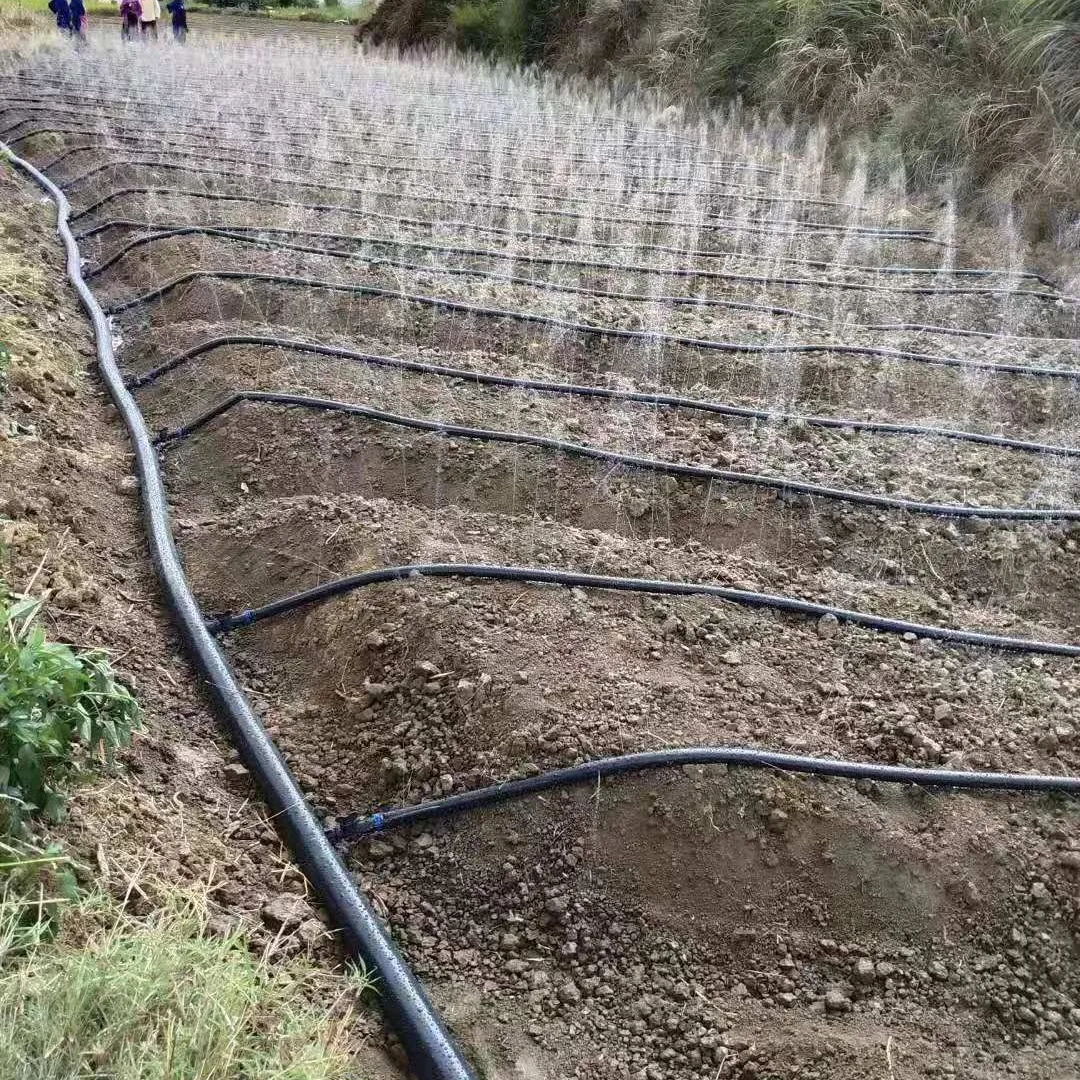 Benefits of Using Irrigation Hoses in Agriculture