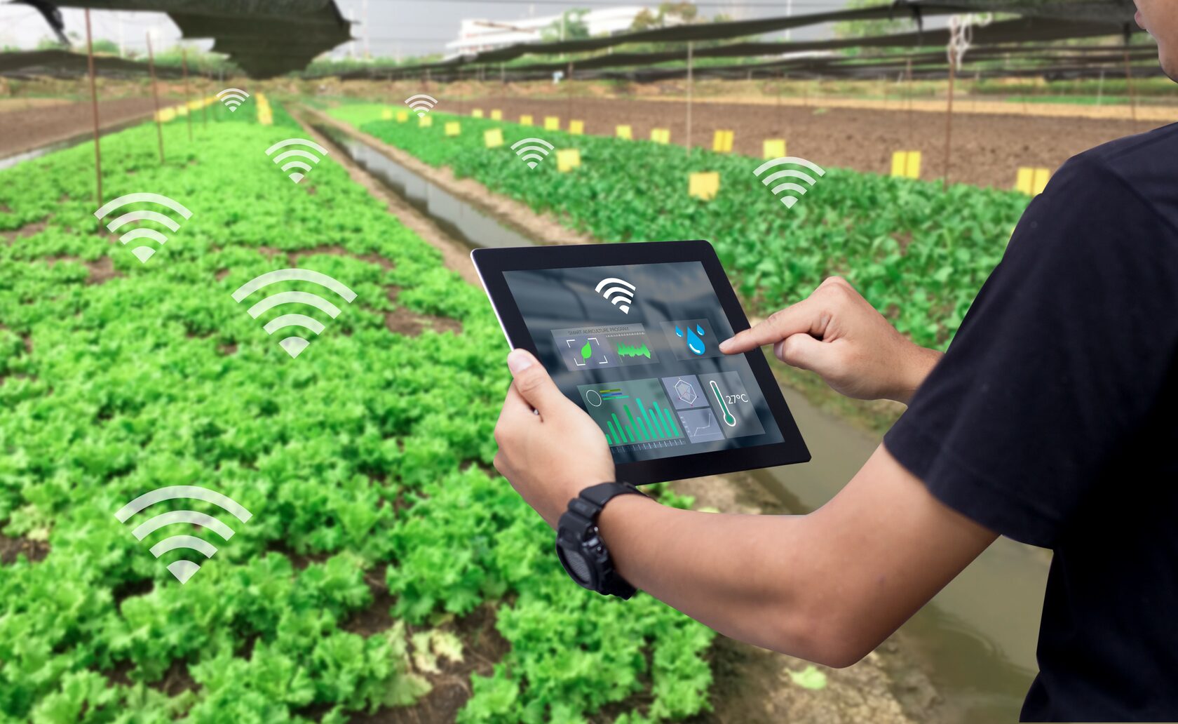 Smart Irrigation Technology: How It Enhances Water Use Efficiency in Agriculture
