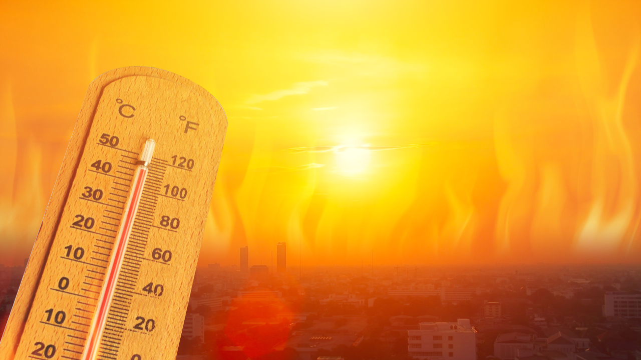 The Impact of High Temperatures on Irrigation Networks: Preventive Solutions