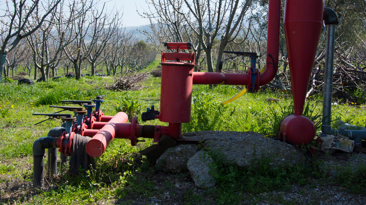 Dual Filtration = Protected Network