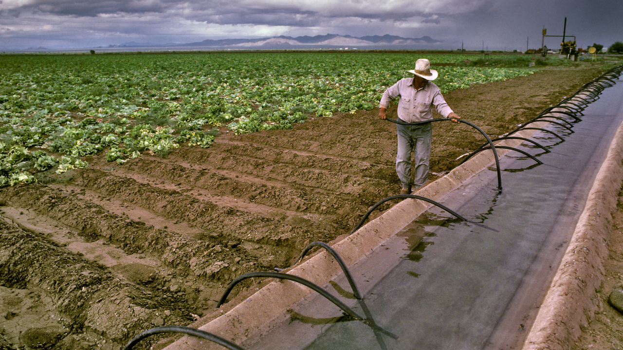 Cost of Installing a Drip Irrigation System in Egypt 2026 (Complete Pricing Guide)