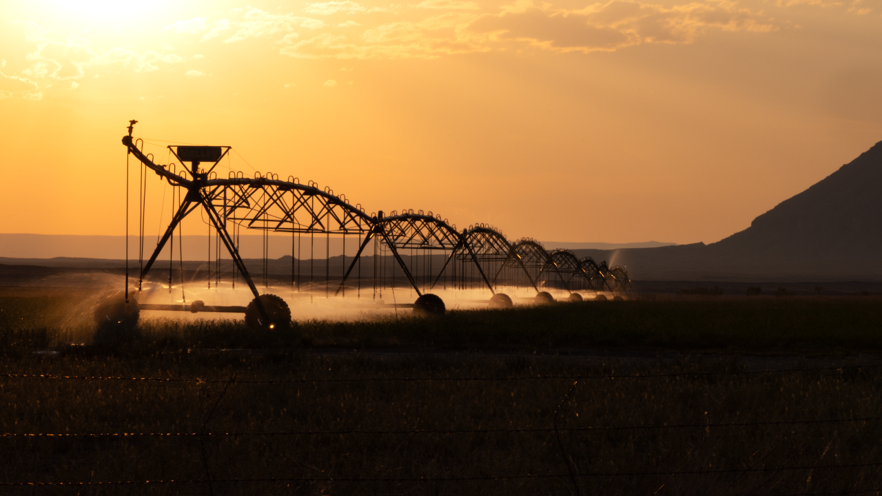 Common Mistakes That Make Irrigation Networks Cost You Money