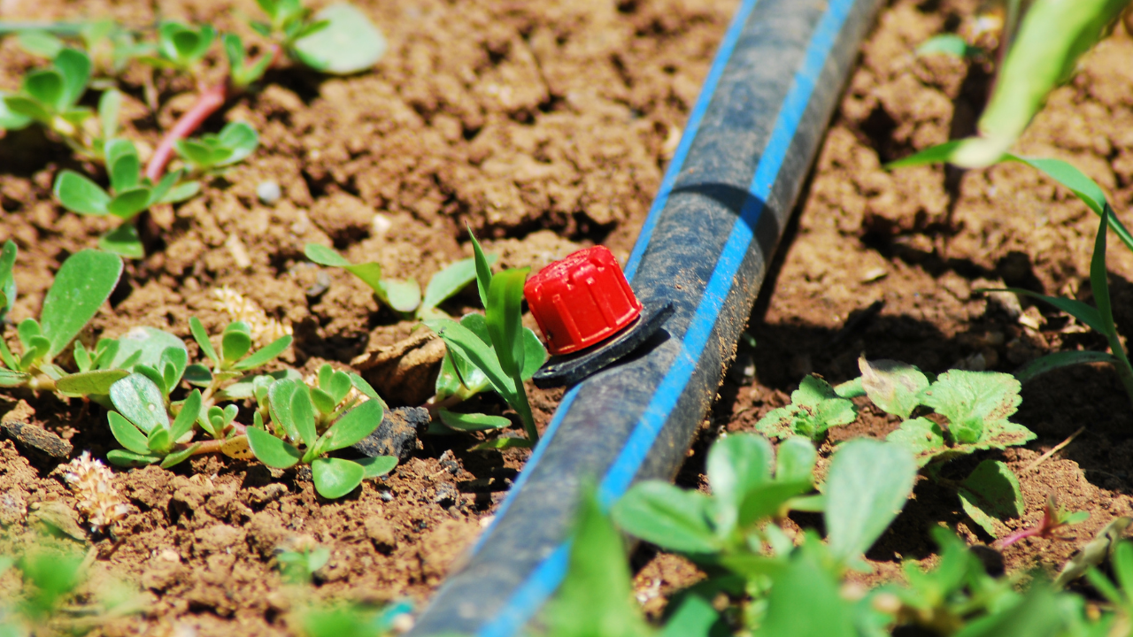 The Difference Between High-Quality and Low-Quality Hoses in Irrigation Networks