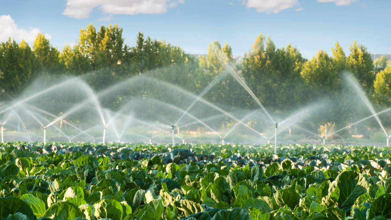 Why an Integrated Irrigation Network Makes a Real Difference in Farm Lifespan