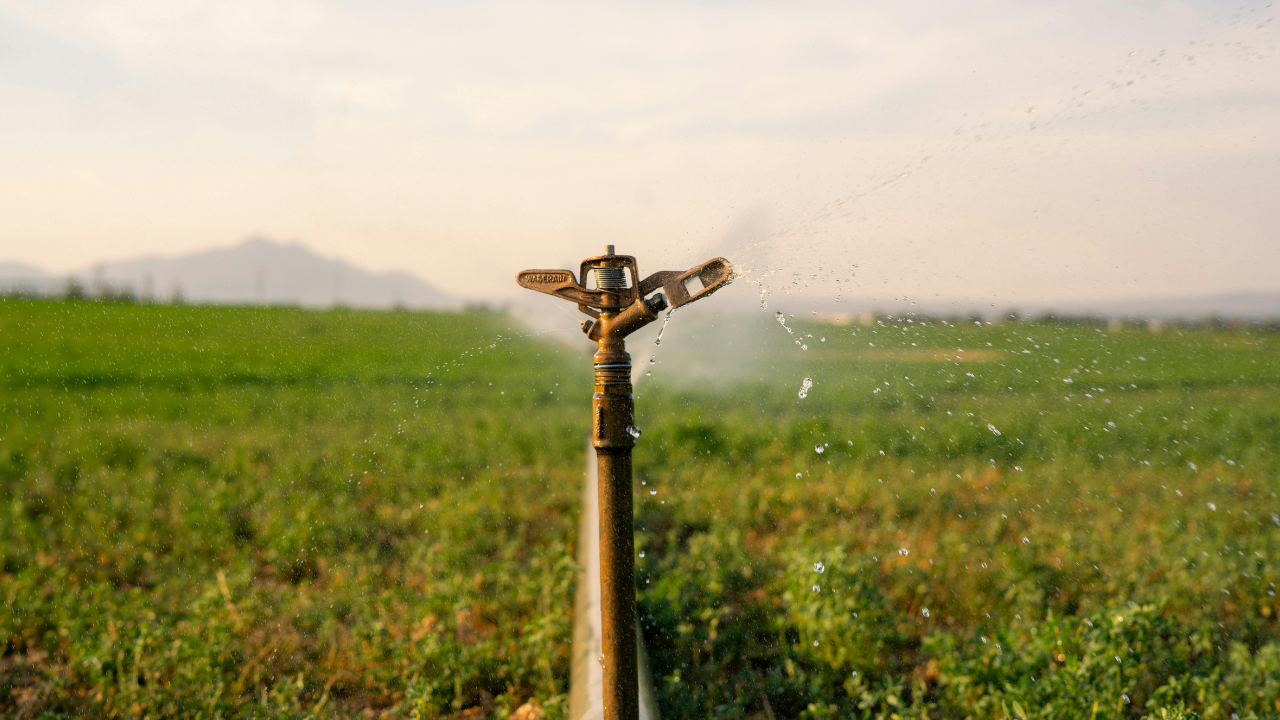 علامات بتقولك انك محتاج تطور شبكة الري مش تكمل بنفسها