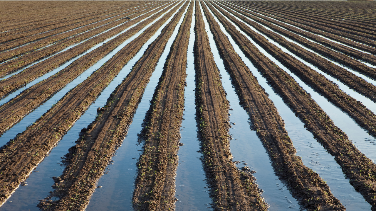 Irrigation Network Filters – Guaranteed Protection from Clogs & Impurities