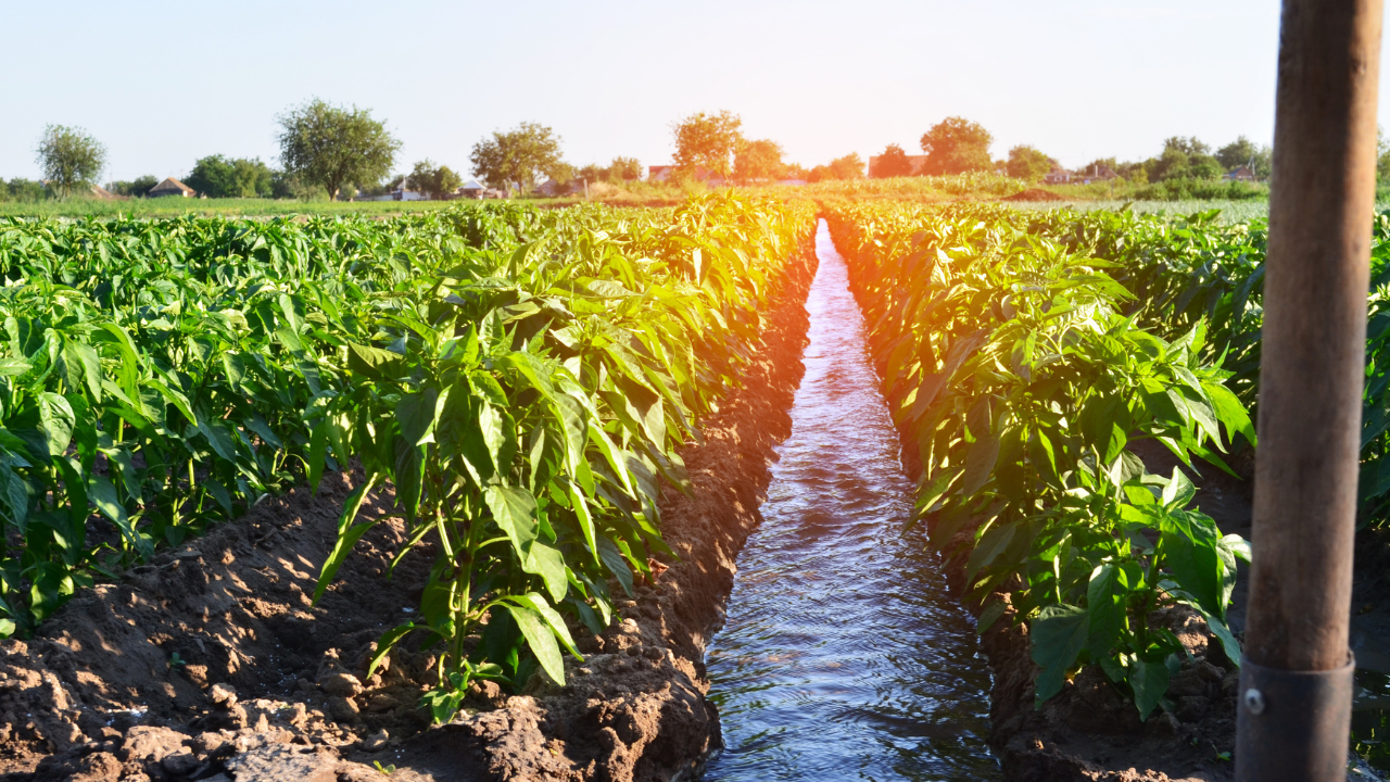 Agricultural Irrigation Pipes – A Long-Term Investment for Your Network