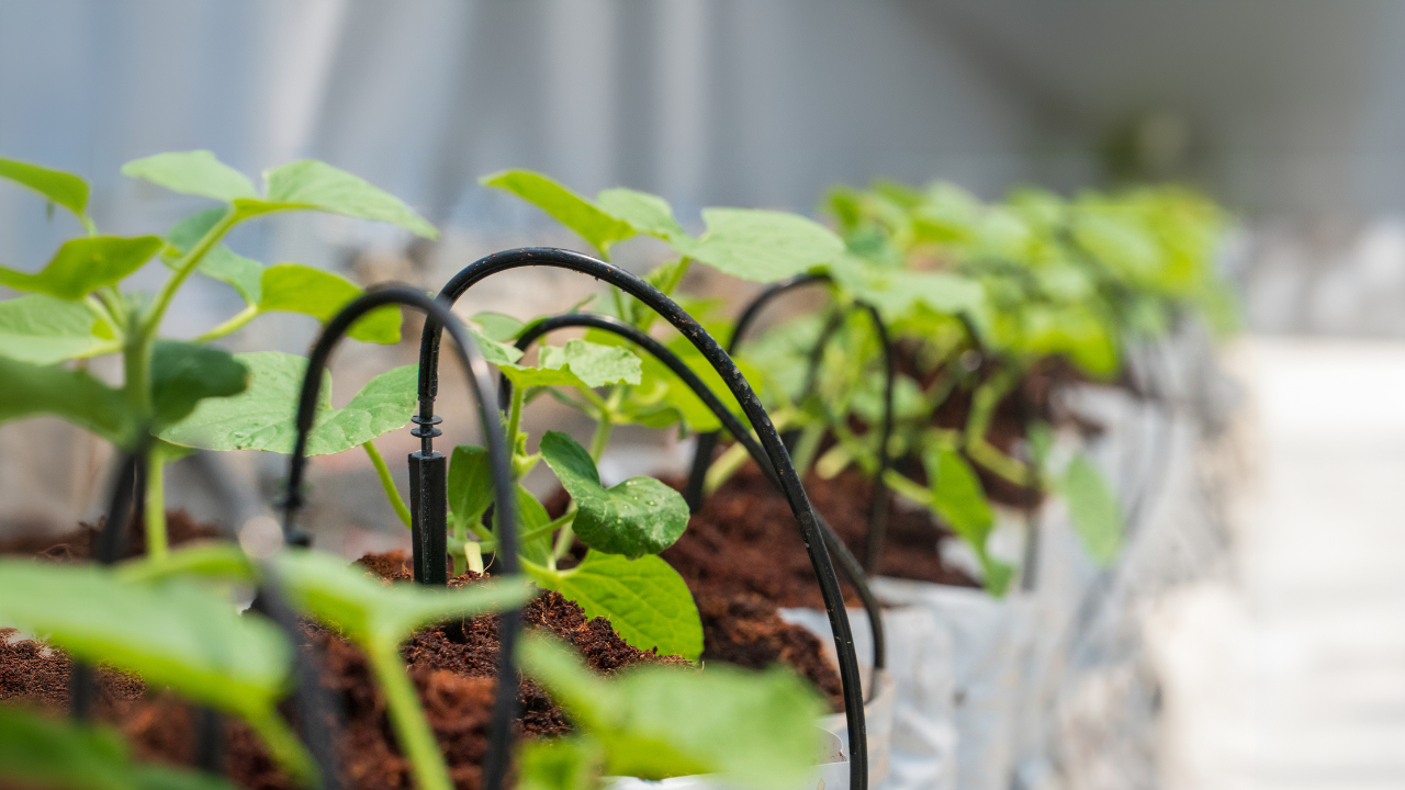 How to Protect Your Irrigation System from Extreme Summer Heat