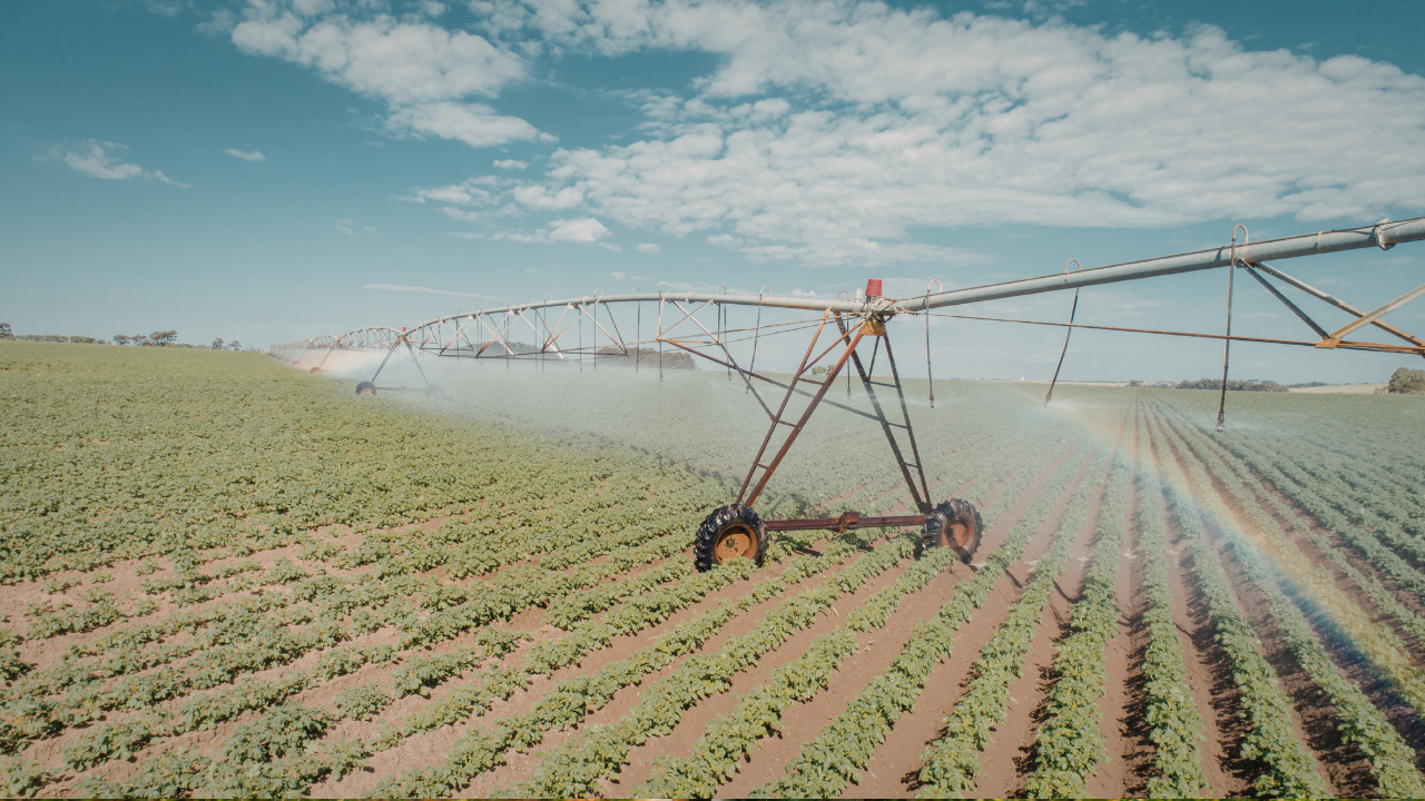 أفضل نظام ري في مصر 2026: التنقيط ولا الرش ولا البيفوت؟ (دليل شامل)