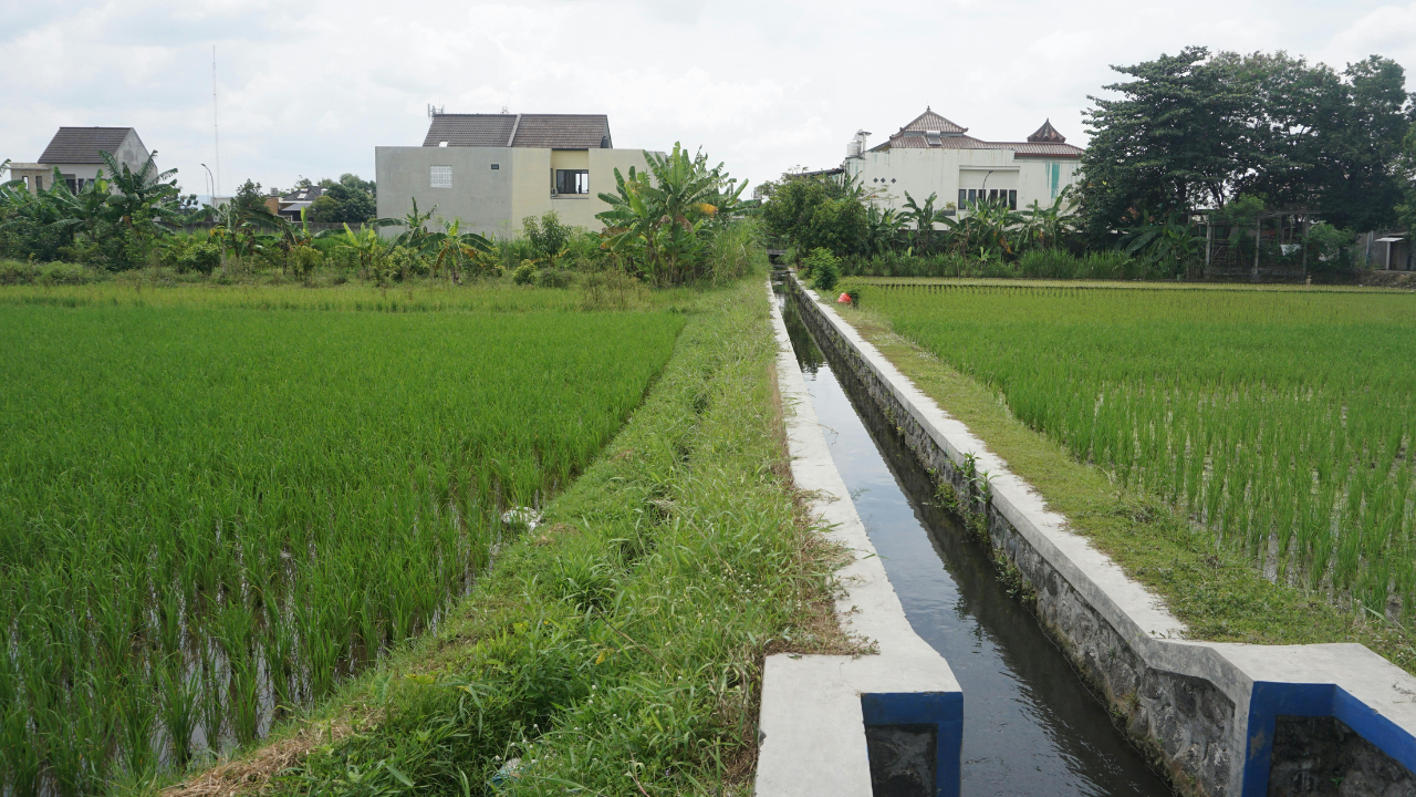 Crop Irrigation Schedule in Summer and Winter: Your Guide to Reducing Water Loss and Increasing Yield