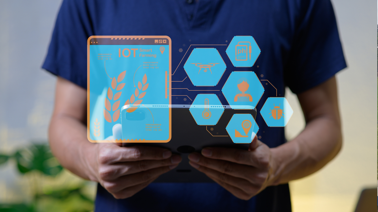 How to Increase Feddan Productivity Using Modern Irrigation Systems (Practical Case Study)