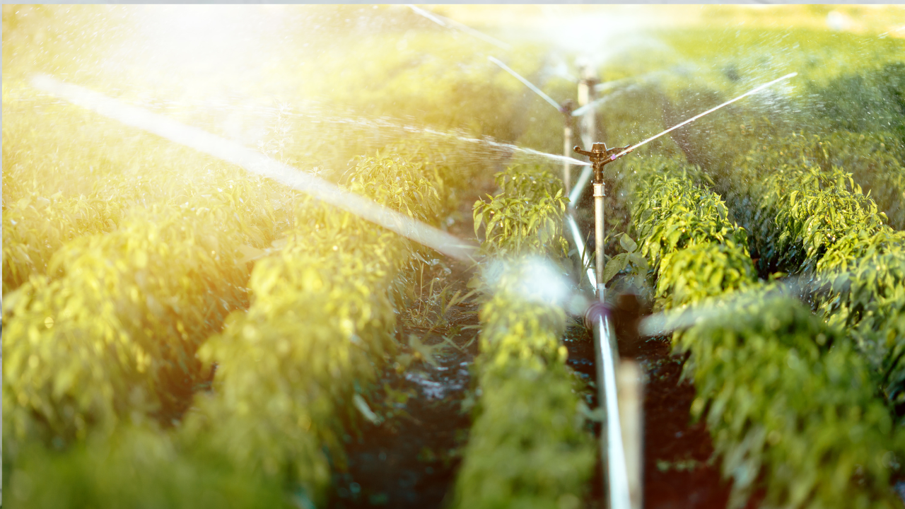 Irrigation Network Accessories – Small Details, Strong System
