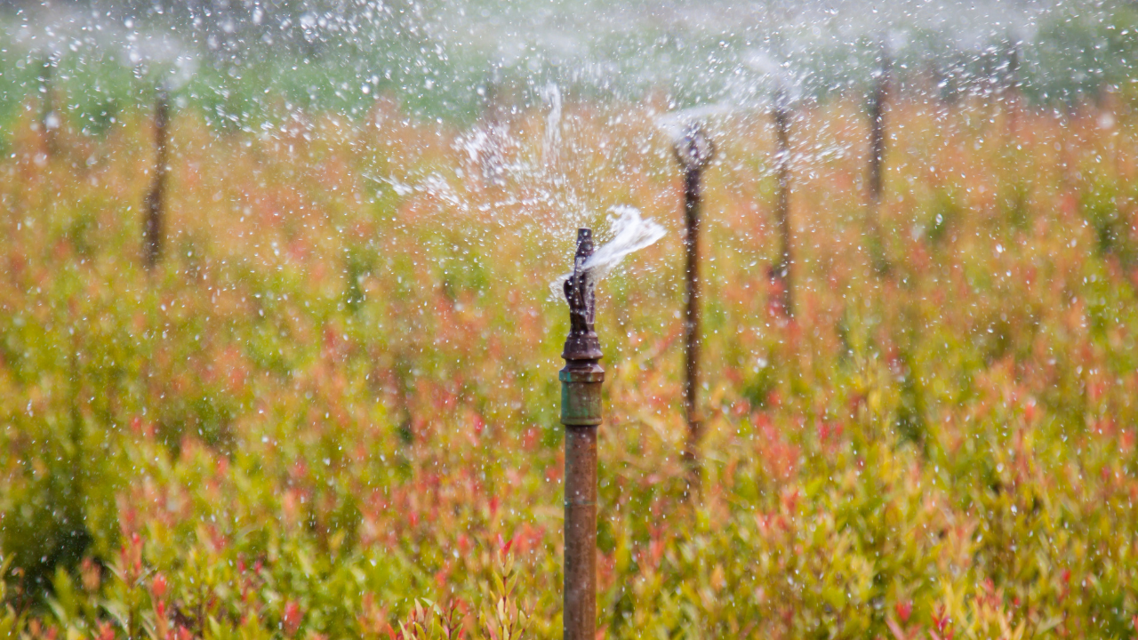 Agricultural Sprinklers – Uniform Coverage with Minimal Water Use