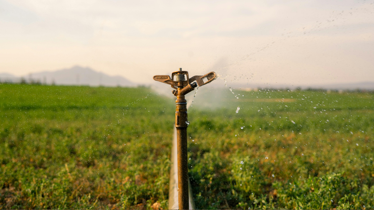 Common Mistakes That Cause Irrigation System Clogging — And How to Prevent Them