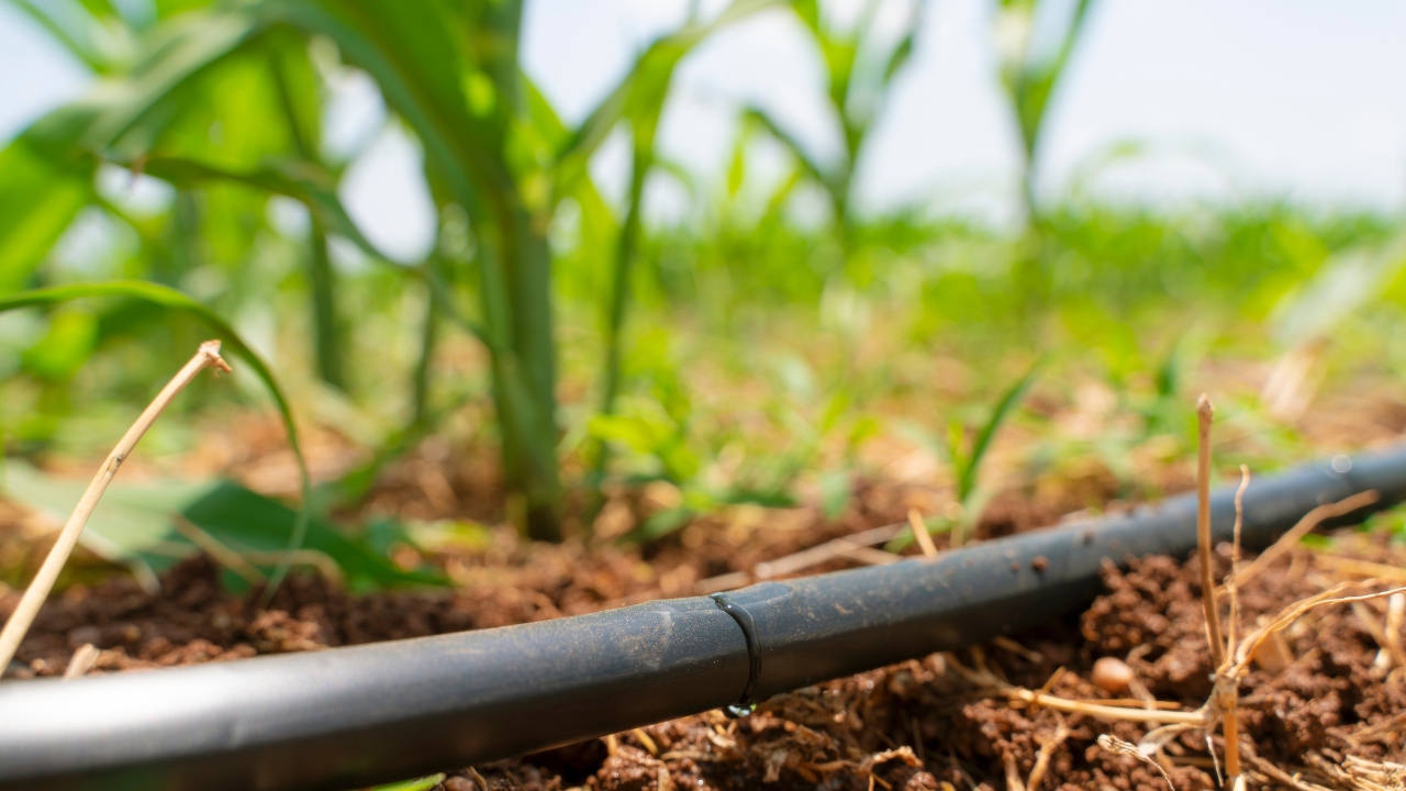 The Best Drip Irrigation System for Clay and Sandy Soils