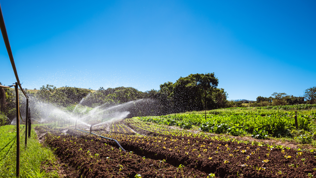 A Guide to Choosing the Right Irrigation Filter Based on Water Source