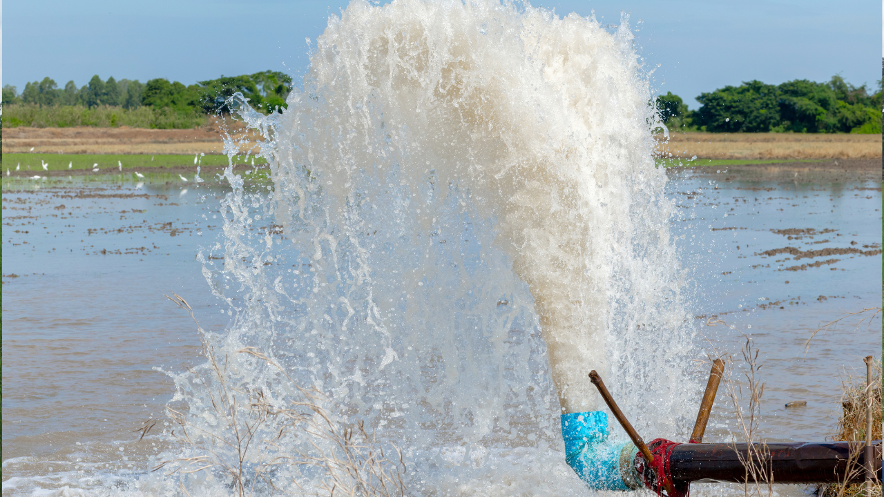 7 Irrigation Mistakes That Destroy Your System