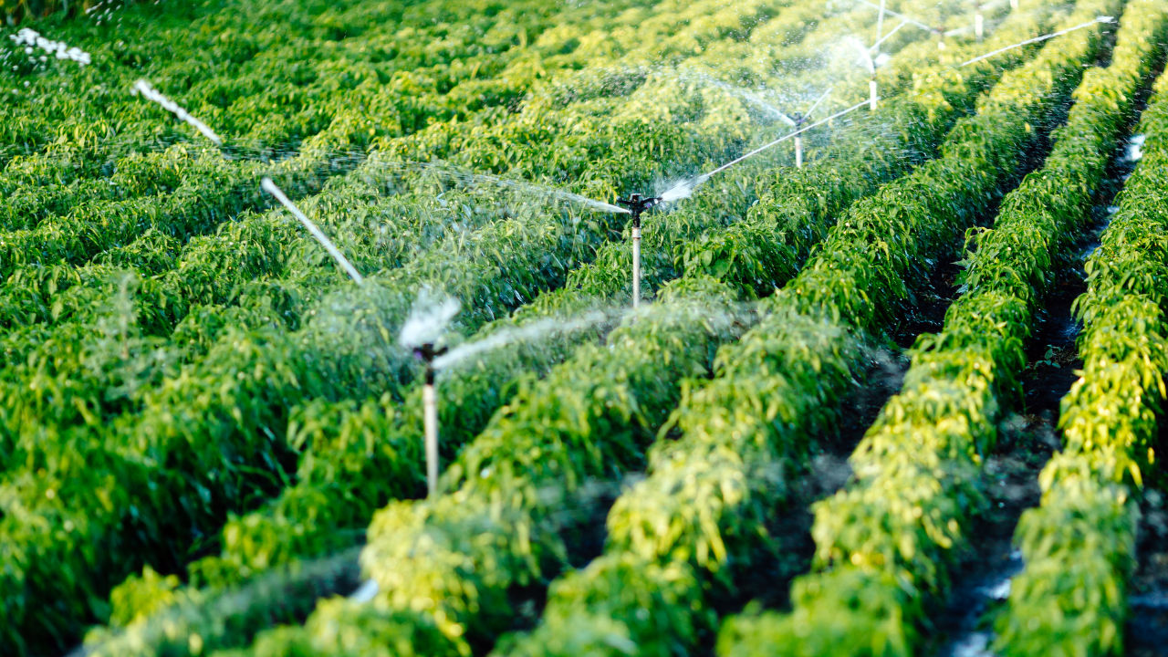 How to Choose the Right Filter for Your Irrigation Network