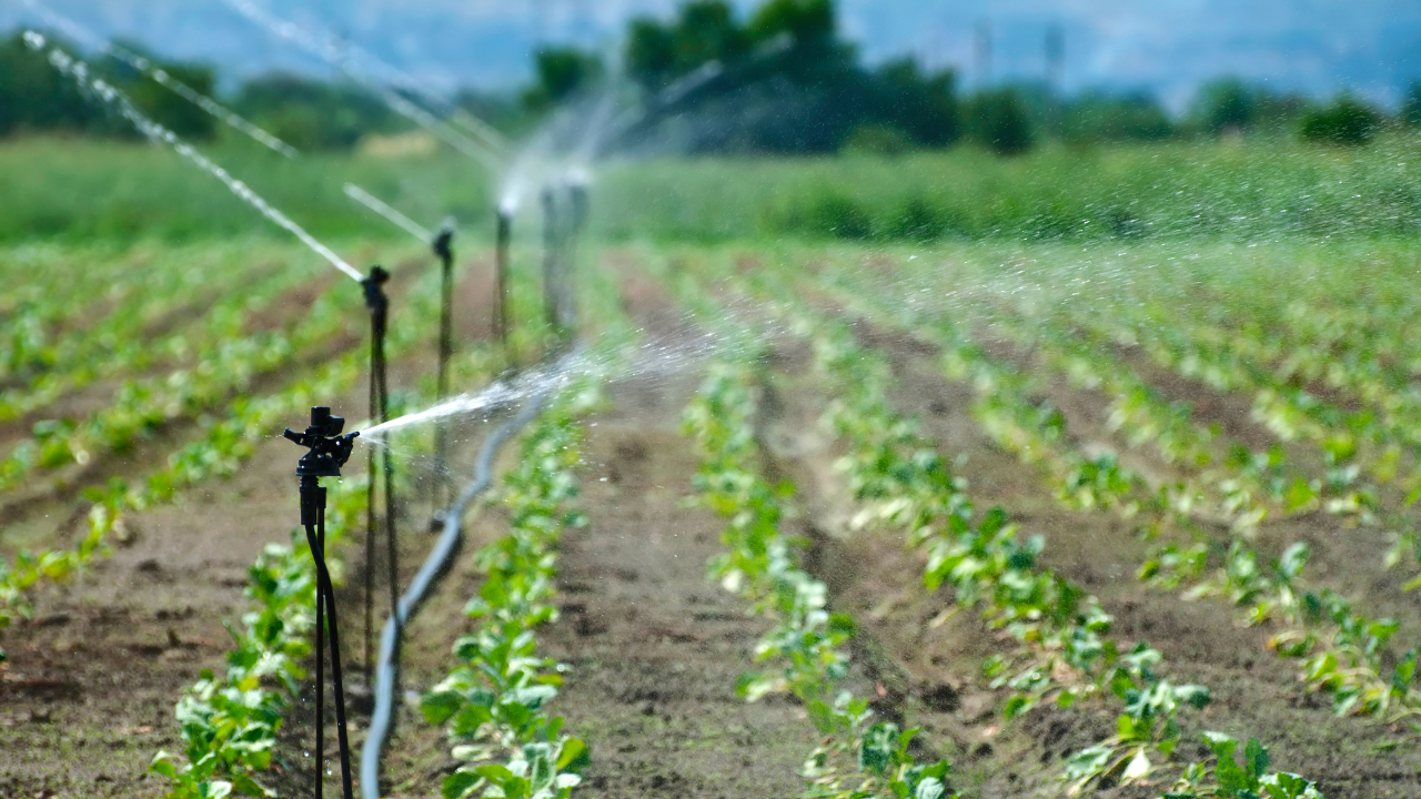 Comparison Between Traditional and Modern Irrigation Systems: Which Is Better for Your Farm?