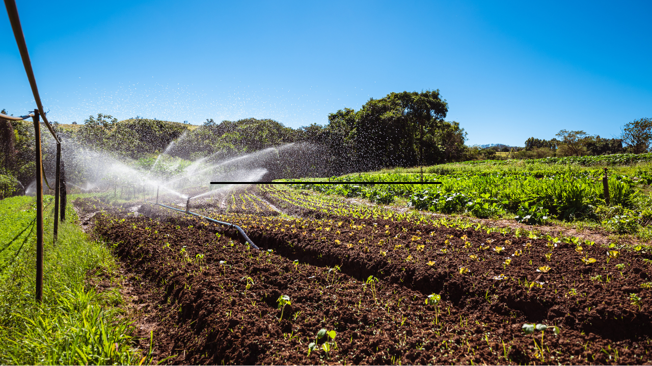 Challenges of Implementing Modern Irrigation Systems in Agriculture: Innovative Solutions