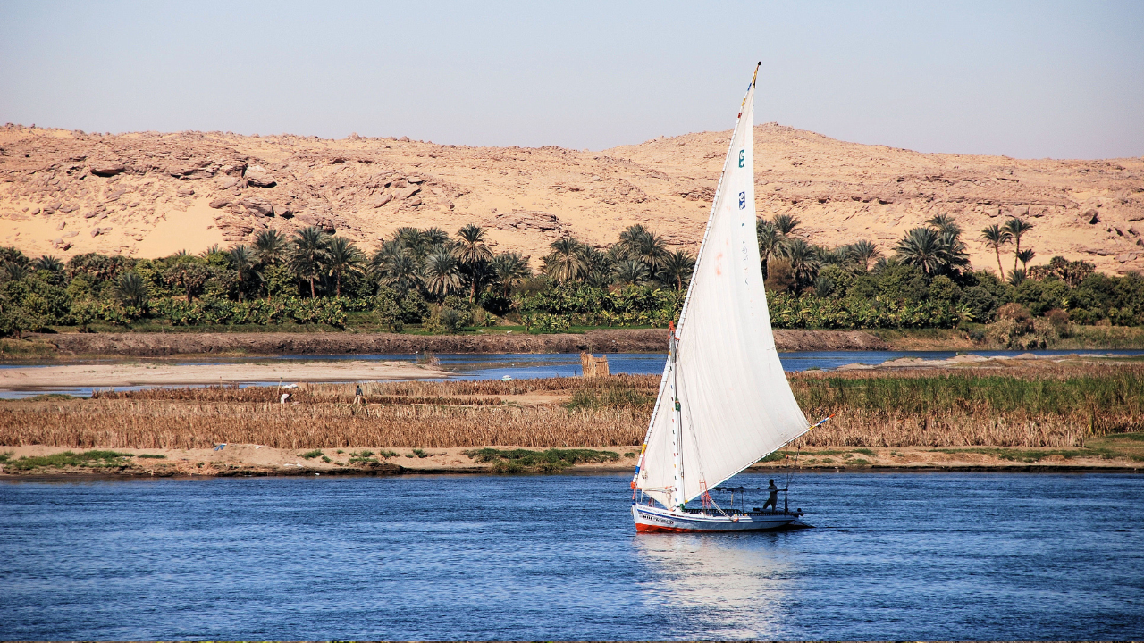 Irrigation Hose Options in Egypt 2025 – Buying Guide