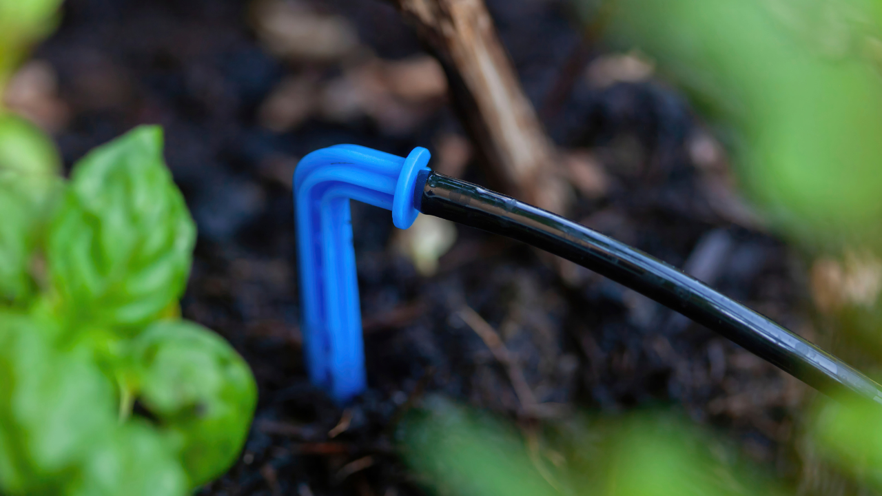 How to Design a Drip Irrigation System Step by Step for Beginners