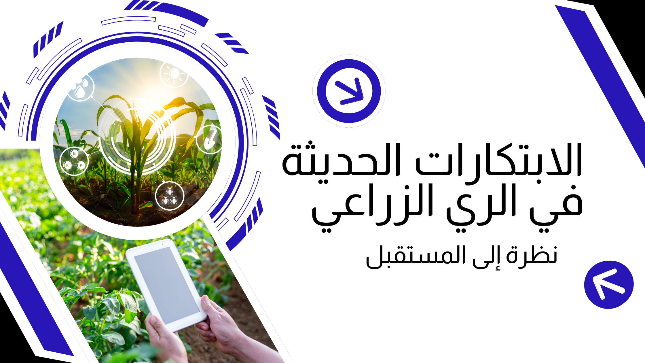 الابتكارات الحديثة في الري الزراعي: نظرة إلى المستقبل