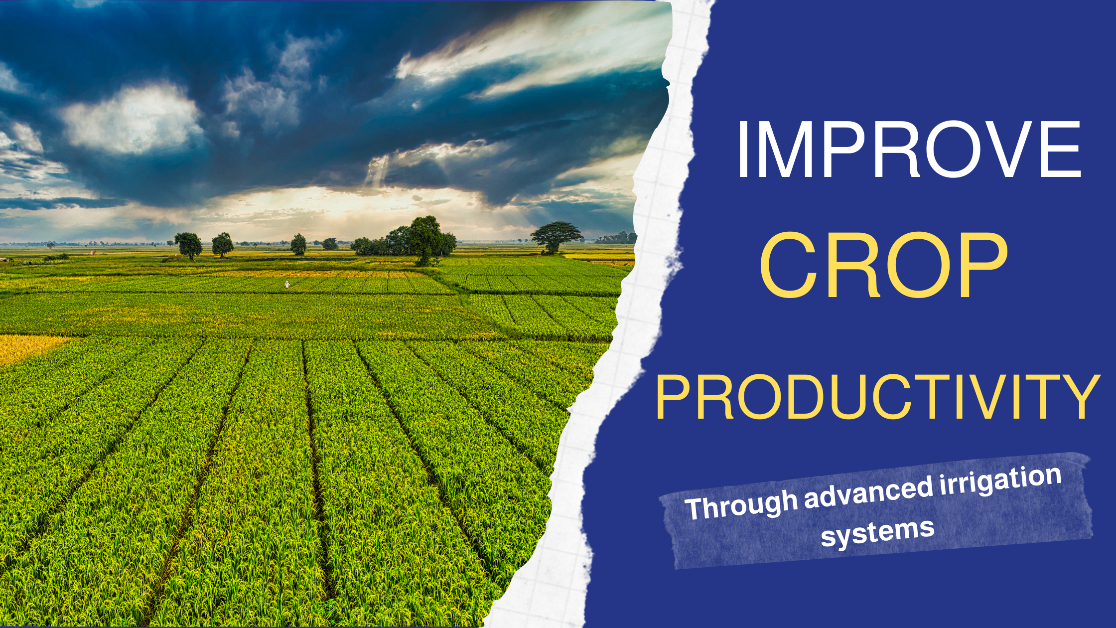 The Benefits of Advanced Irrigation Systems in Improving Crop Productivity