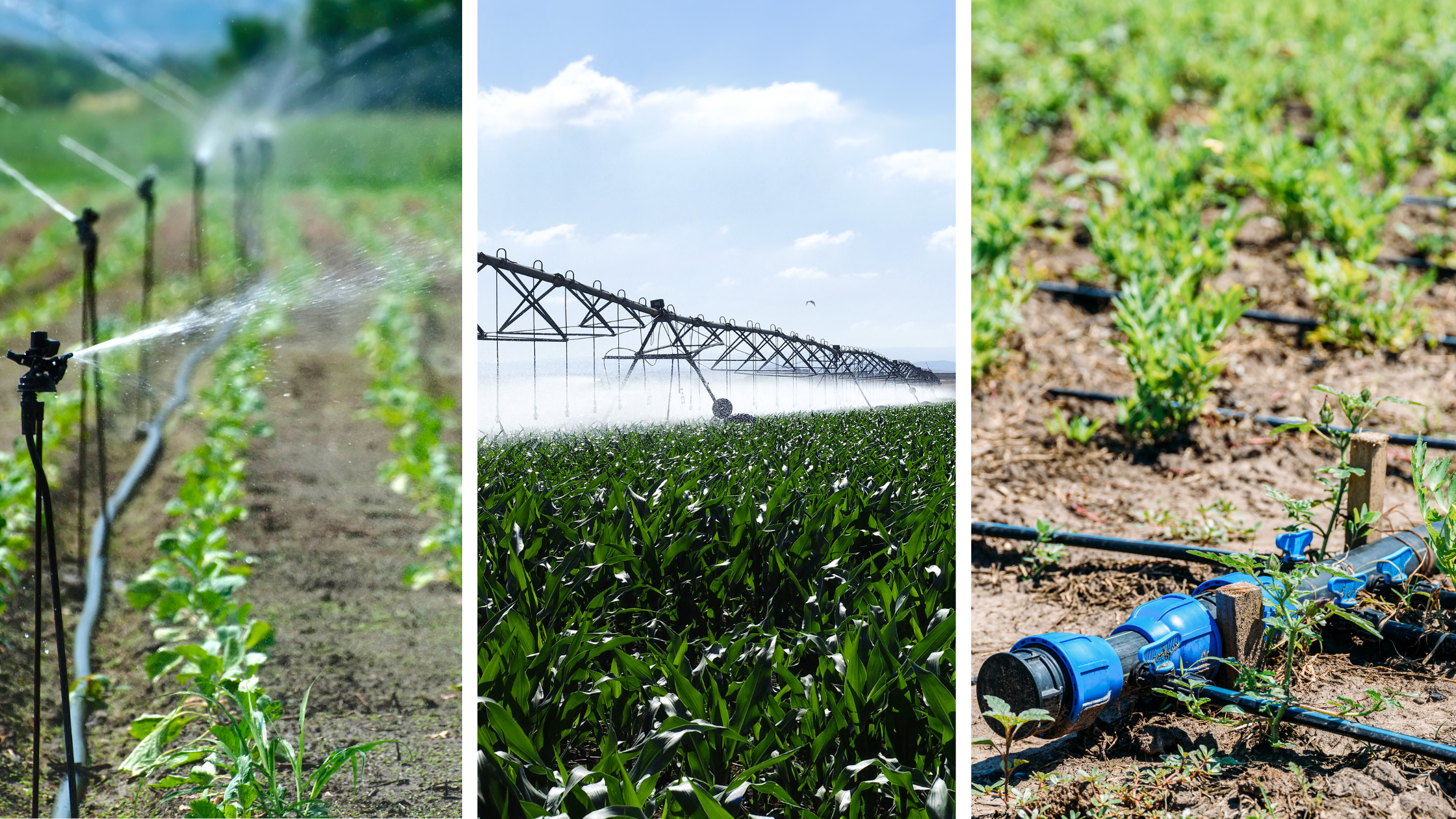 How to Choose the Best Irrigation System for Your Land