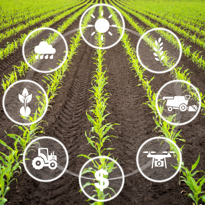 Implementing ISO Standards in Agricultural Irrigation Networks: Towards Improved Efficiency and Quality