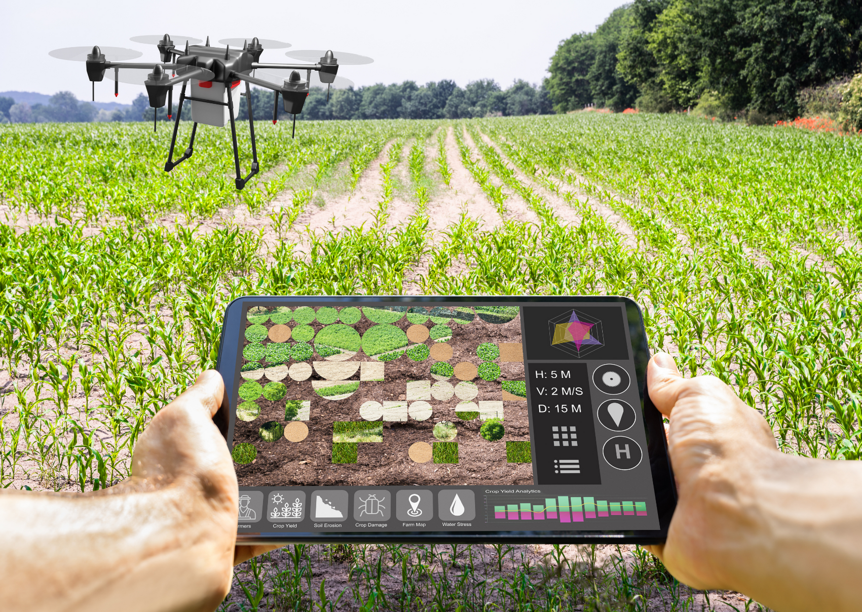 Digital Transformation in Agriculture: How Technology is Changing the Future of Farming