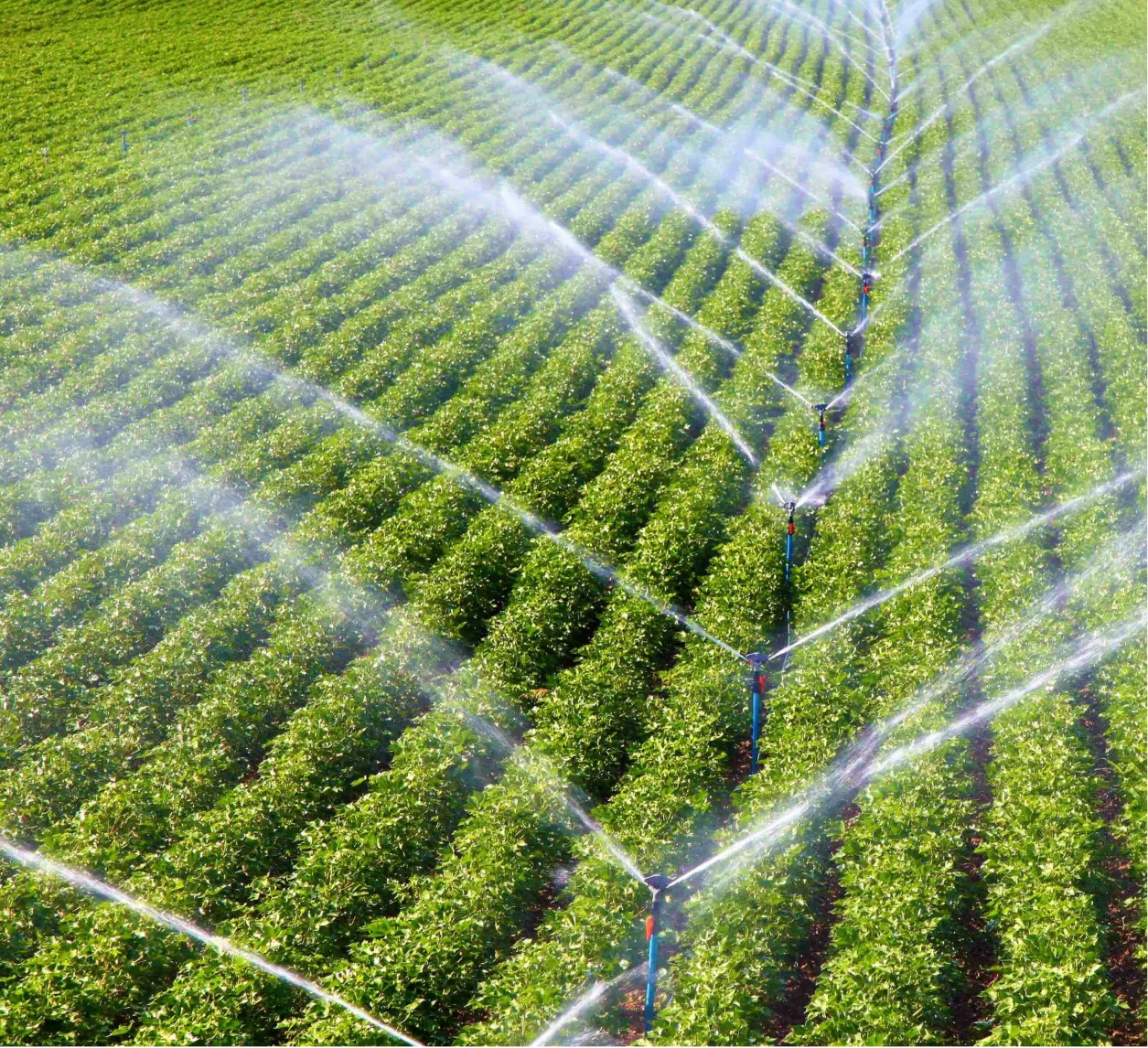 Choosing the Right Irrigation System for Your Farm: A Comprehensive Guide