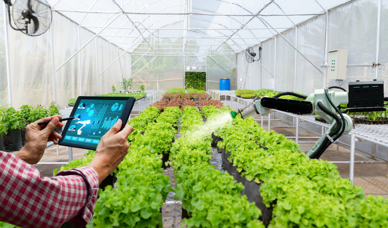 Smart Irrigation Technology: How It Enhances Water Use Efficiency in Agriculture