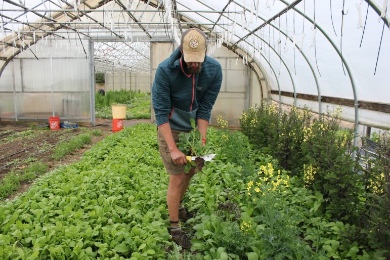 Alhandasih Farmer Training